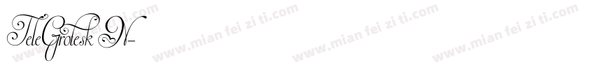 TeleGrotesk N字体转换